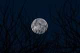 EE. UU. quiere (¿puede?) volver a la Luna en 2024