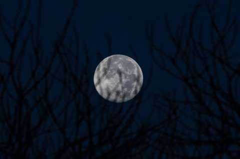 EE. UU. quiere (¿puede?) volver a la Luna en 2024