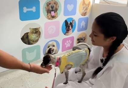 Hospital inaugura una sala exclusiva para que pacientes reciban visitas de sus mascotas