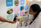 Hospital inaugura una sala exclusiva para que pacientes reciban visitas de sus mascotas