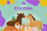 ¿Le gustan los gatos, perros y más animales? Siga La Red Zoocial de El Espectador