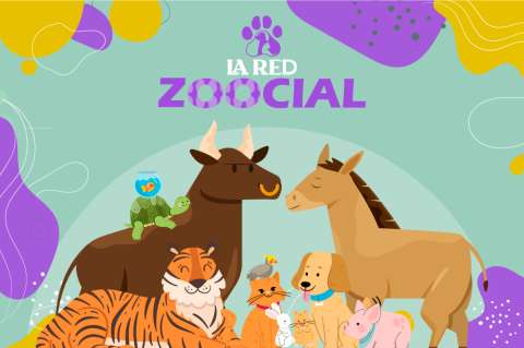 ¿Le gustan los gatos, perros y más animales? Siga La Red Zoocial de El Espectador