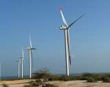 Gobierno busca licencias ambientales en menos tiempo para acelerar energías renovables