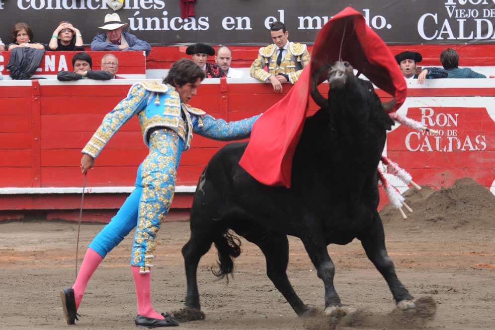 Castella encantó con una tanda de estatuarios, un circular invertido y un forzado de pecho, que hicieron sonar la ‘Marcha de los Toreros’ de Bizet. / Puertagrande.net