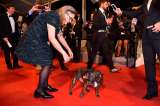 15 fotos para resumir el fin de semana en Cannes