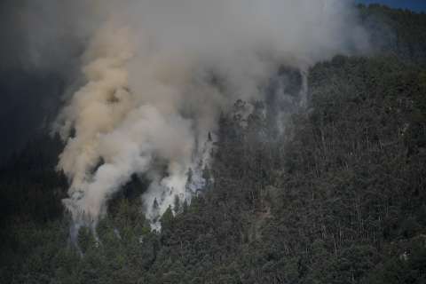 Galán pide más apoyo al Gobierno para atender incendios forestales en Bogotá
