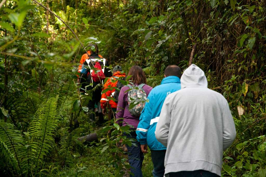 La entidad distrital aumentó la oferta de recorridos por los cerros orientales con dos nuevos caminos: Doce Quebradas y Kilómetro 11.