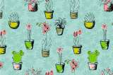 Cinco buenas ideas de plantas que lucirán bien en su mesa