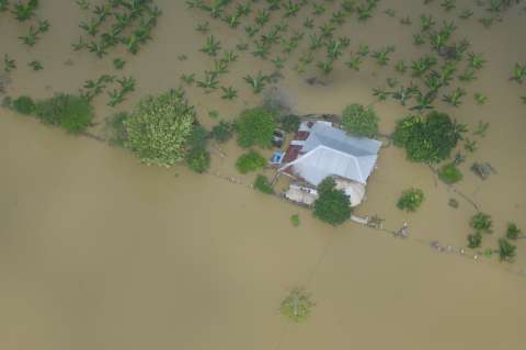 Inundaciones en Córdoba: médicos alertan sobre riesgo de leptospirosis, dengue y diarreas