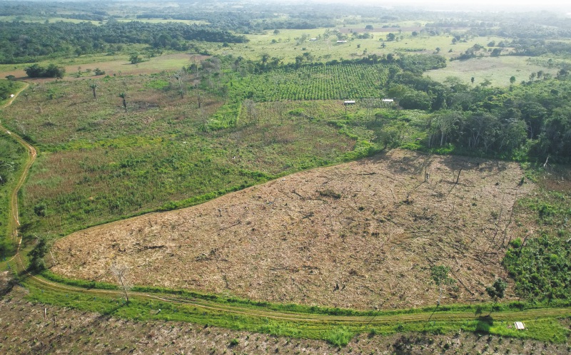 Los Parques Nacionales Tinigua, Sierra de La Macarena y Serranía de Chiribiquete hacen parte de los más afectados por la deforestación en Colombia.