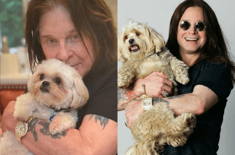 El lado que pocos conocían de Ozzy Osbourne: vivió rodeado de perros adoptados