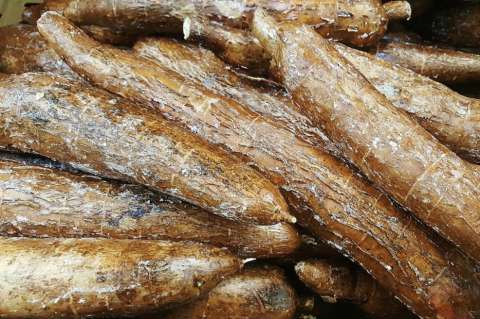 La yuca y los otros alimentos que más se han encarecido en 2018