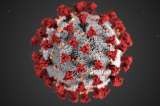 ¿Cómo logra transmitirse tan rápido la variante Delta del coronavirus?