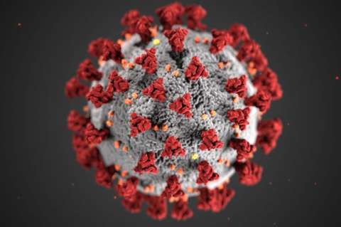 ¿Cuál es el riesgo de las variantes Delta y Delta Plus del coronavirus?