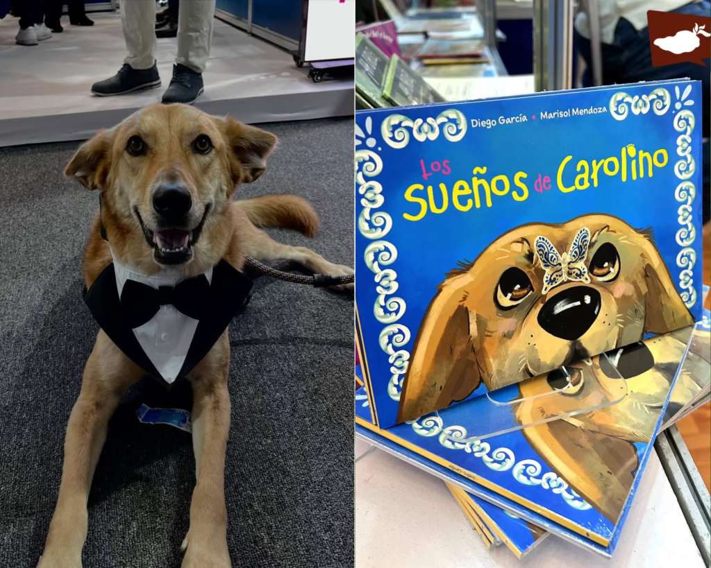 Perrito callejero fue adoptado por una universidad y ahora tiene su propio libro