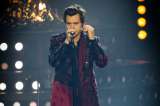Harry Styles, defensor de la diversidad sexual