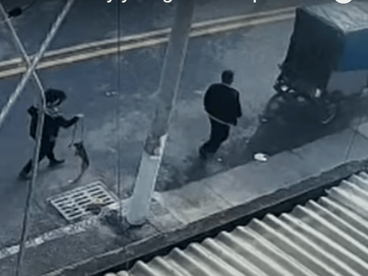 En las cámaras de seguridad de la cuadra se registró cuando una pareja se llevó a un perro y lo subió a un mototaxi, en la localidad de Kennedy.