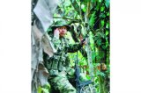 El manual de las Farc para su supervivencia