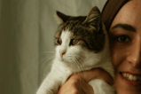 ¿Cómo saber si mi gato me quiere? Siete señales de que su gato es feliz con usted