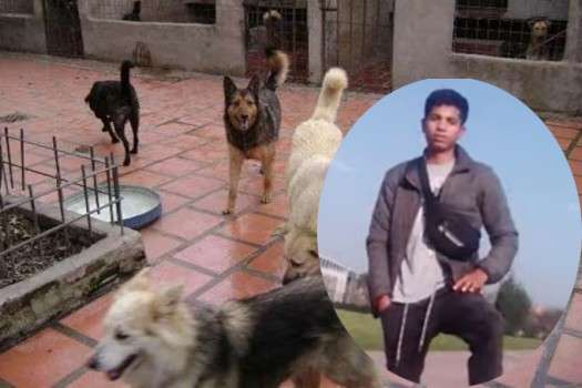 Greiber Berrío, de 19 años, fue atacado por una jauría de nueve perros cuando llegaba a su vivienda en la localidad de Bosa. El joven sufrió la amputación de sus dos brazos a raíz del ataque. Su familia denuncia que existían alertas de ataques similares y no se hizo nada.