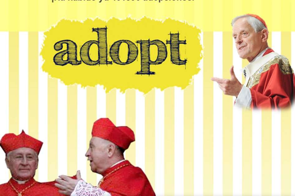 Imagen del sitio web Adoptacardinal.org.