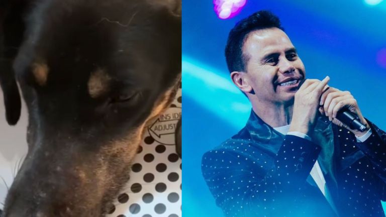 Jhonny Rivera rescató a perrita que fue atacada con machete por morder a un trabajador