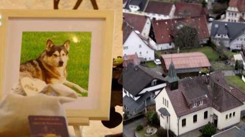 Alemania abre iglesia para despedir y velar mascotas tras su muerte