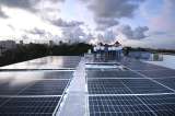 Campus ecológicos: las universidades contra el cambio climático