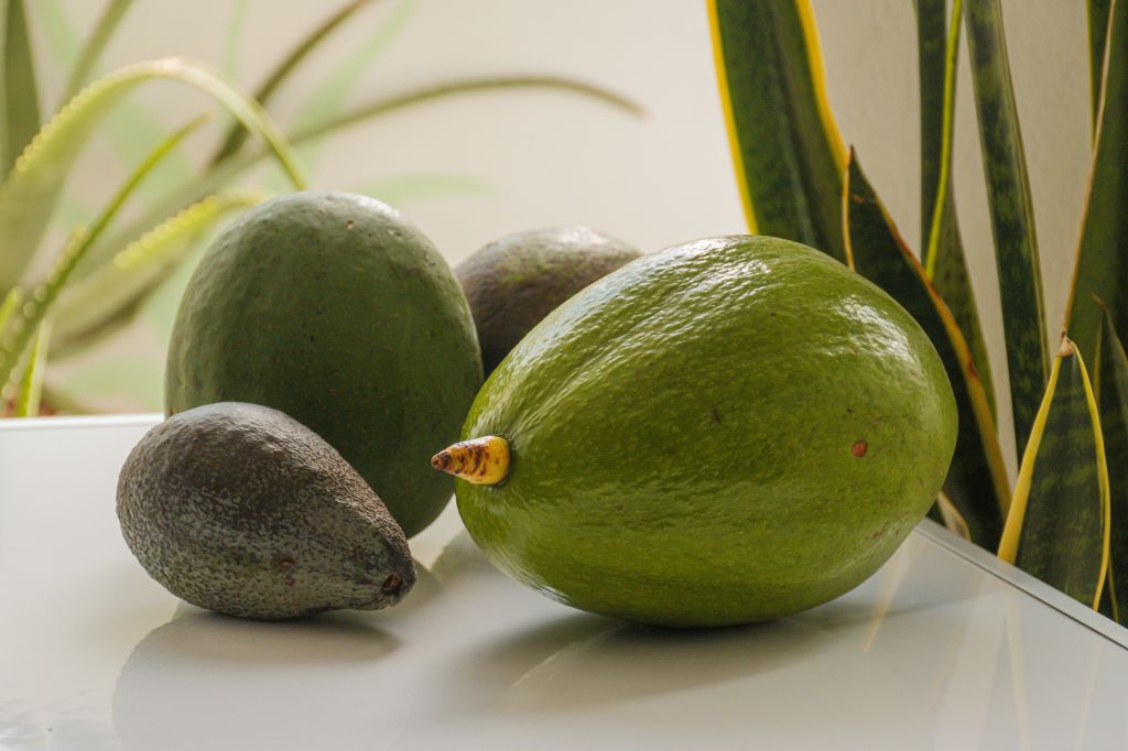 Hoy sabemos que en alimentos como el pescado, el aguacate, las nueces, las semillas y algunos aceites vegetales hay una buena cantidad de grasas insaturadas, que cumplen distintas funciones en el organismo.