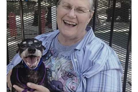 Adoptó al perro más viejo y enfermo del refugio para darle un hogar en sus últimos días