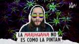 Sí a legalizar la marihuana en Colombia, PERO… | La Pulla