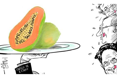 Papaya partida