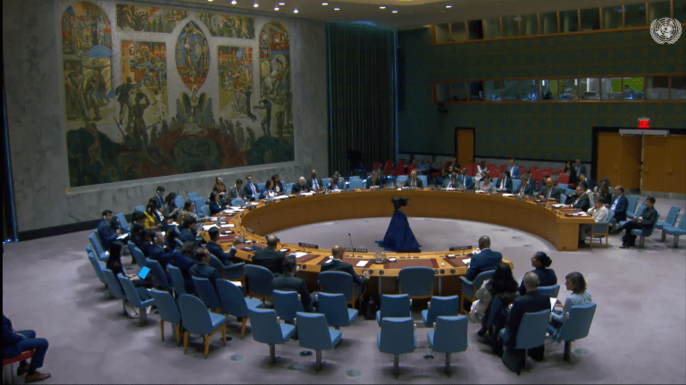 Consejo de Seguridad de la ONU rechaza ataques de la disidencia de Mordisco