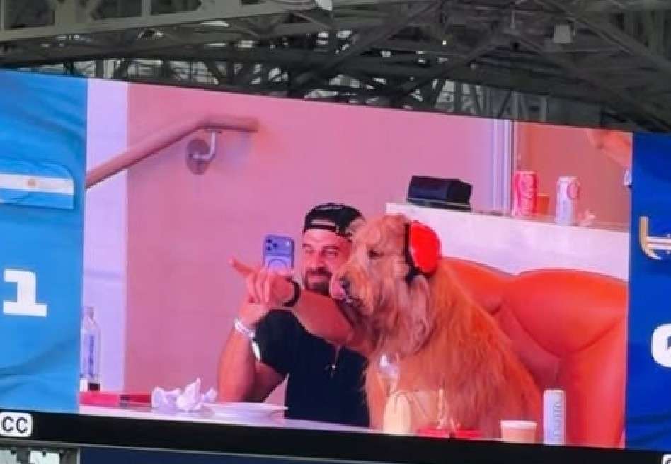 ¿Cómo entró a la cancha? La historia detrás del perro viral en el encuentro Argentina - Cabo Verde