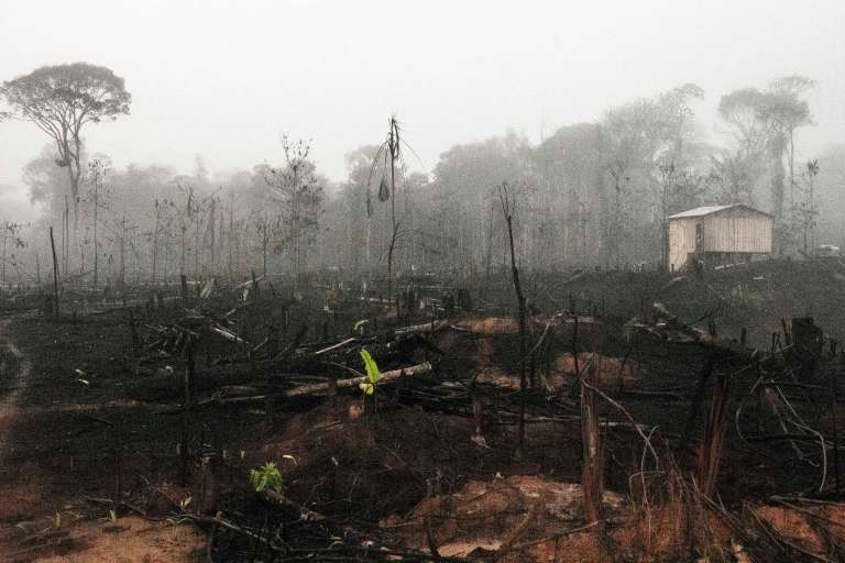 Indígenas Mura, en Brasil y su lucha por proteger la Amazonia su territorio.