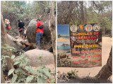 Maltrato de caballo en el Tayrona reabre debate por su uso en actividades turísticas