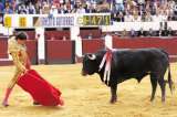 Arranca capoteo por la temporada taurina de 2019 en Bogotá