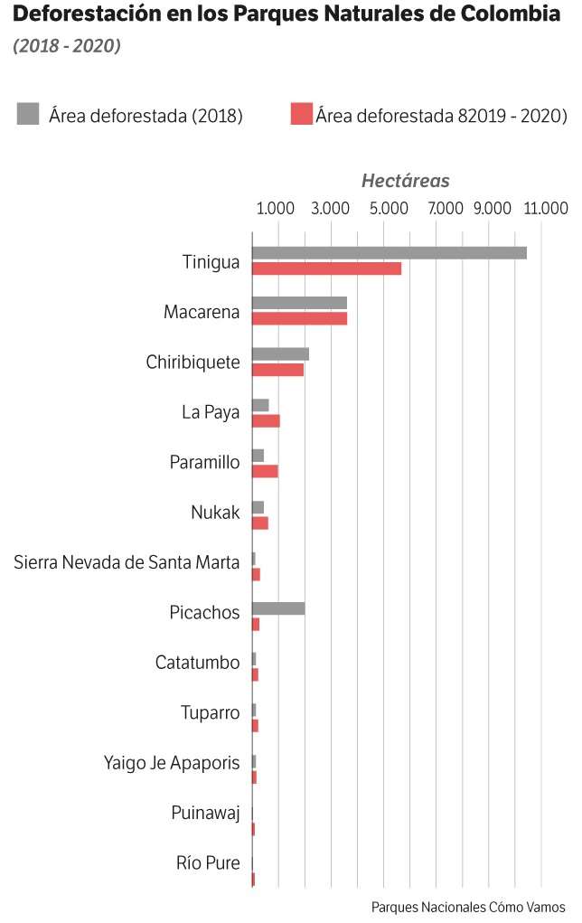Con datos de Parques Cómo Vamos y Global Forest Watch
