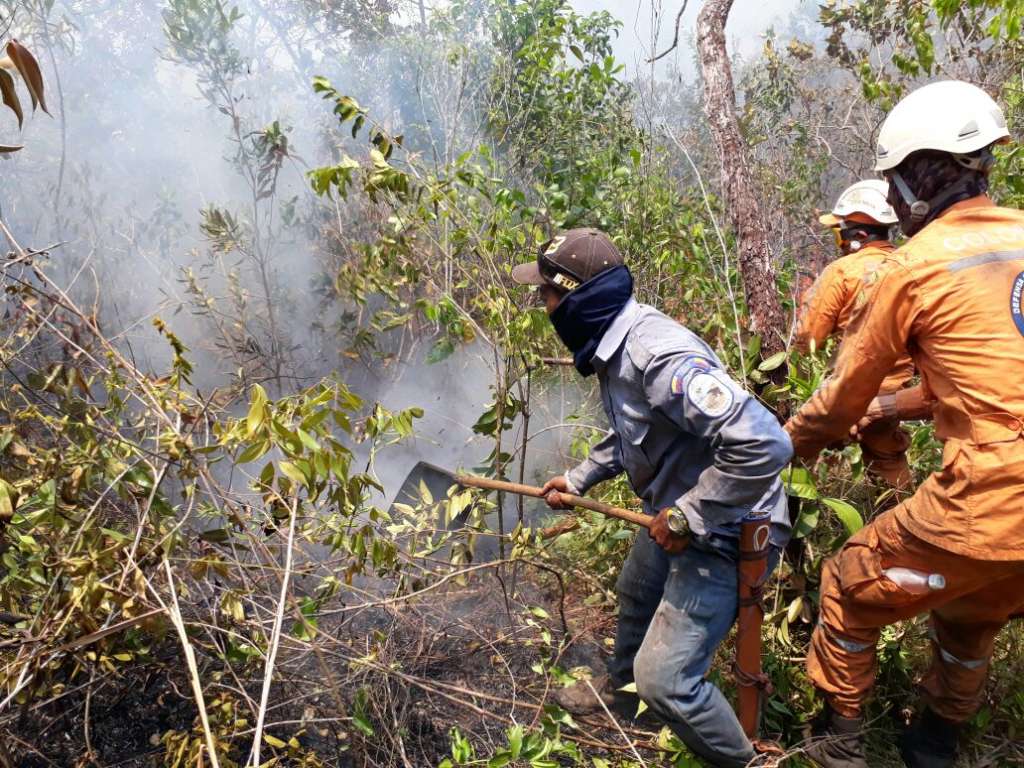 Las autoridades ambientales ya han sofocado 14 focos de incendios, pero ya fue declarada la emergencia / PNN