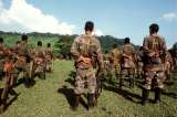 ¿Se avecina el fin del paramilitarismo?