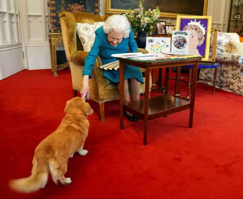 Reina Isabel II: perros y caballos, sus grandes pasiones