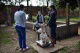 Instituto de Protección Animal Bogotá responde frente a denuncias de contratación