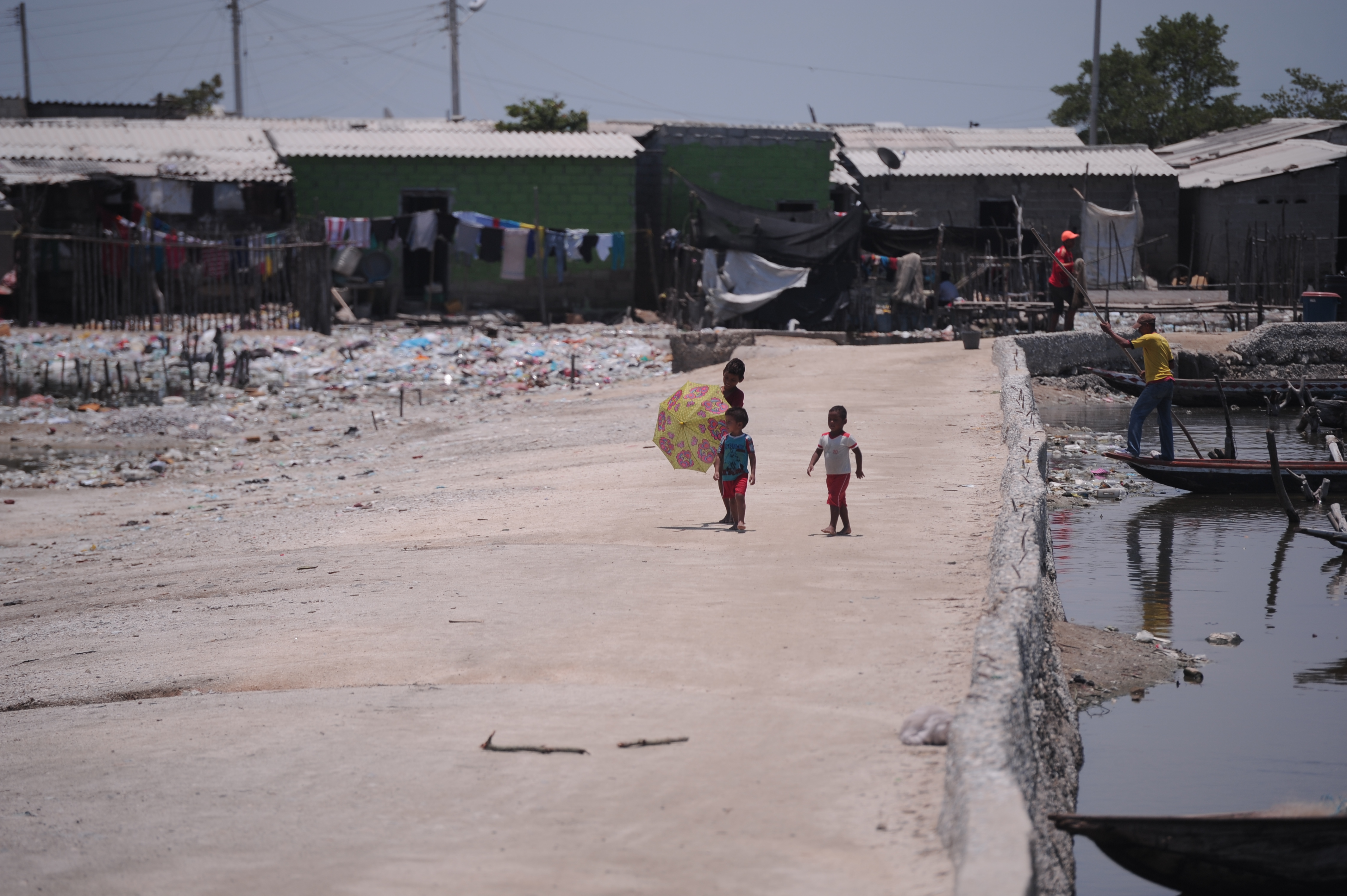 Diferentes aspectos de la Ciénaga Grande de Santa Marta: habitantes, casas, ríos, animales, barcos y el atardecer.