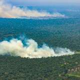 Incendios en Colombia: en febrero vienen días muy difíciles para la Amazonia