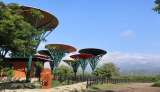 Ecoparque de la Biodiversidad COP16 en Cali: qué debe saber antes de visitarlo
