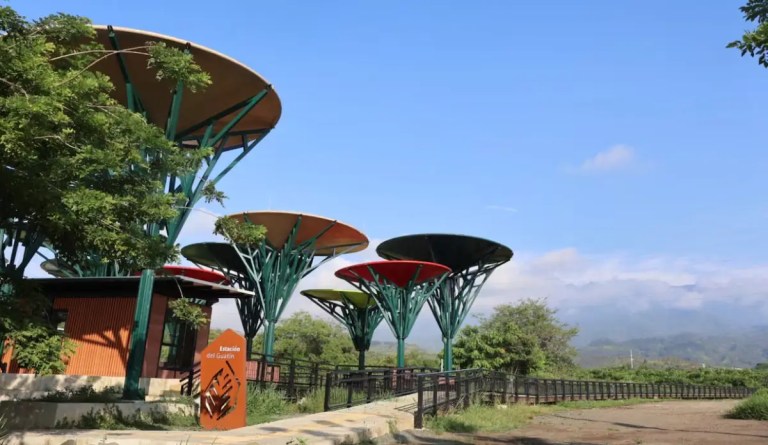 Ecoparque de la biodiversidad Cop16 en Cali: lo que debe saber para visitarlo