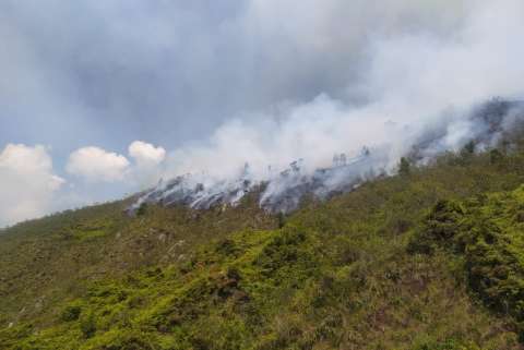 Los países con menos ingresos sufren más consecuencias por los incendios forestales