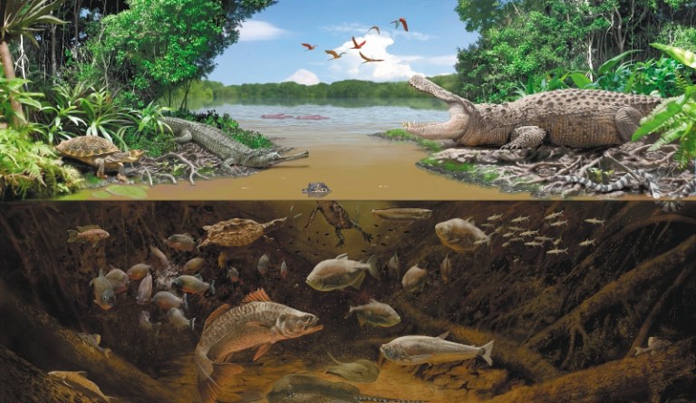 Lo que revelan los peces que alguna vez estuvieron en el ‘desierto’ de La Tatacoa
