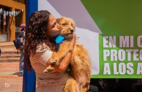 Esta universidad en Bogotá decidió no utilizar perros de vigilancia
