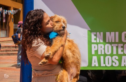 Esta universidad en Bogotá decidió no utilizar perros de vigilancia